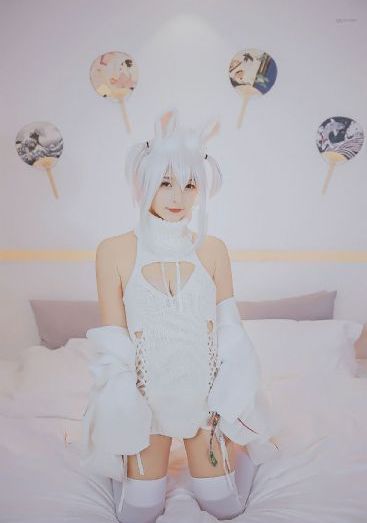 玫瑰的故事免费电视剧_免费观看高清版