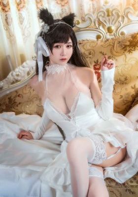 特片网_高清视频大全